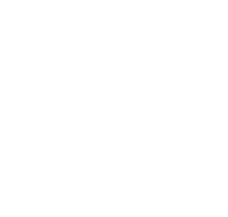 STAM Architecture